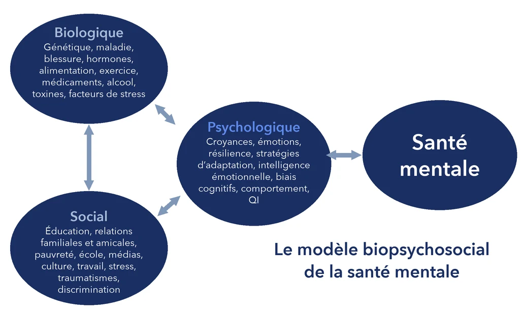 Modèle biopsychosocial à Active Health Clinic, Beyrouth