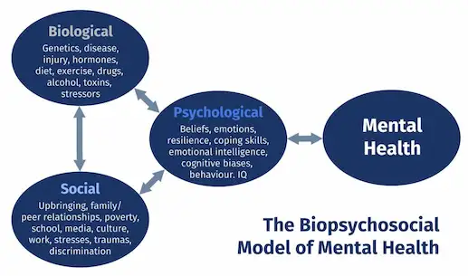 Biopsychosocial model at Active Health Clinic, Beirut