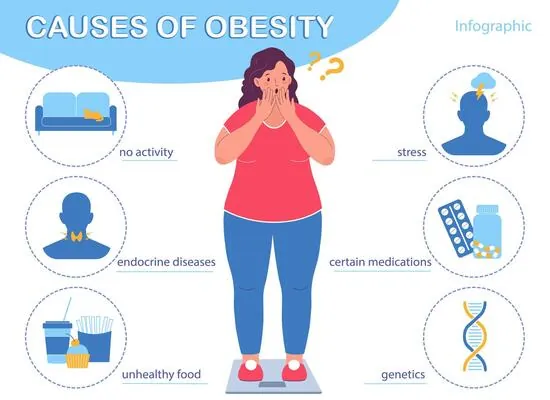Infographic showing the causes of obesity: no activity, stress, endocrine diseases, certain medications, unhealthy food, and genetics